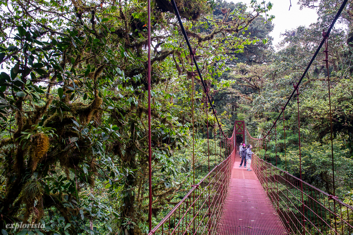 molnregnskog monteverde hängbro