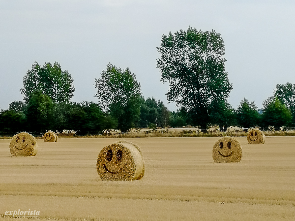 smilies på höbalar