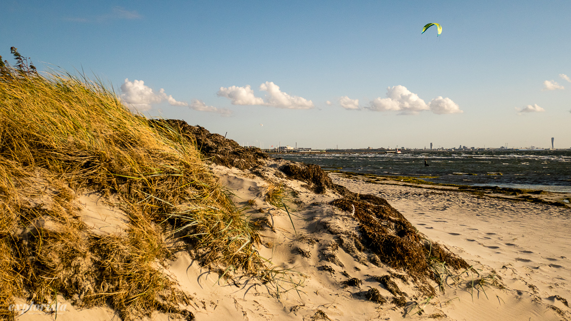 habo ljung kitesurf