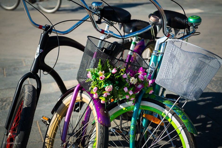 cykel med blommor