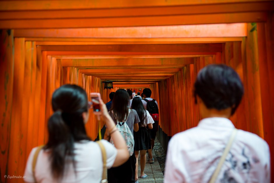 orange portar kyoto