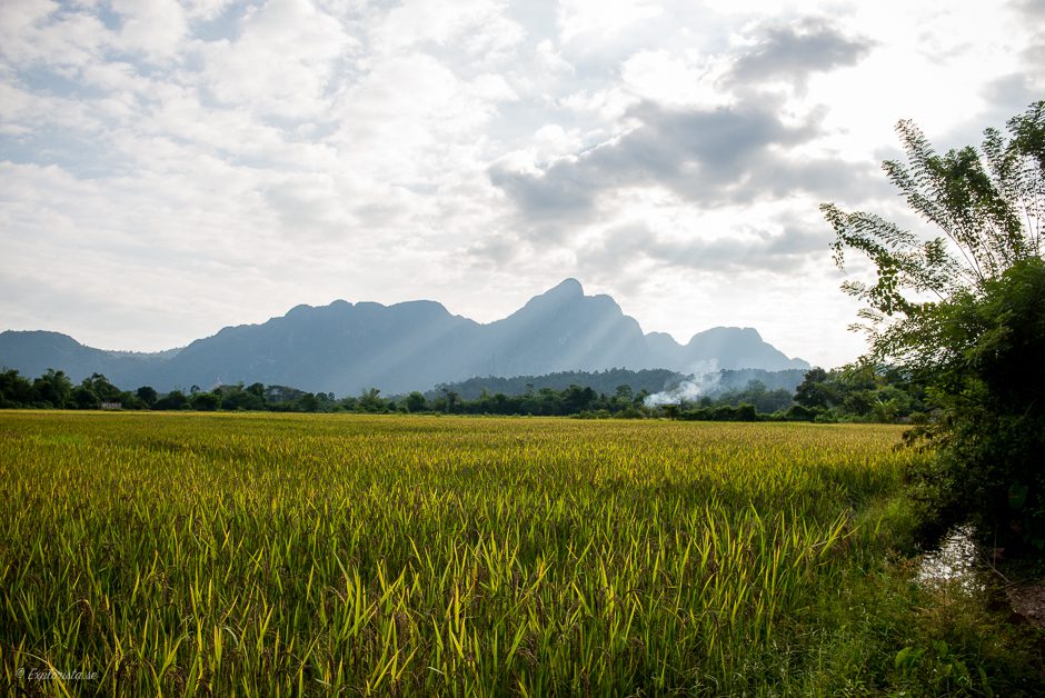 laos fält och berg