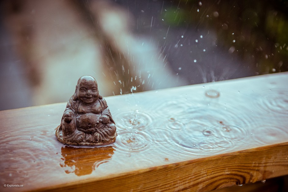 buddhastaty regn