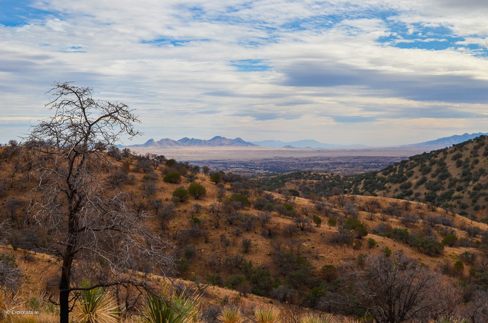 arizona view