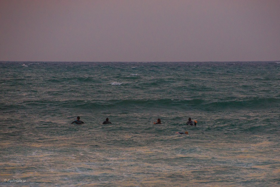 surfare i havet