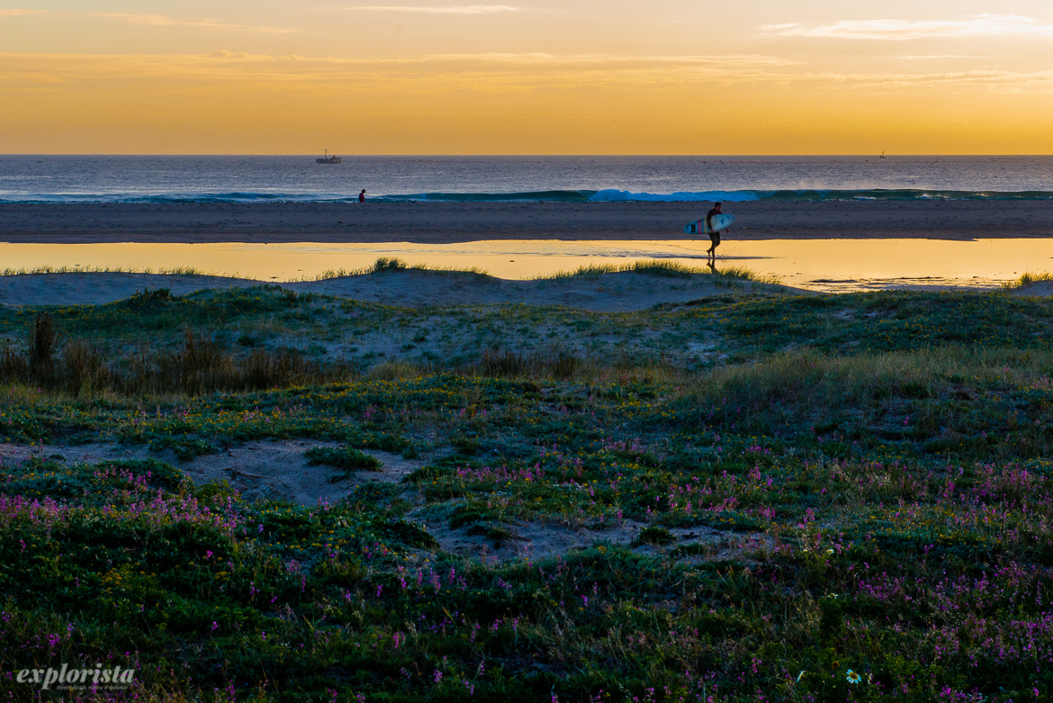 tarifa sunset with surfer