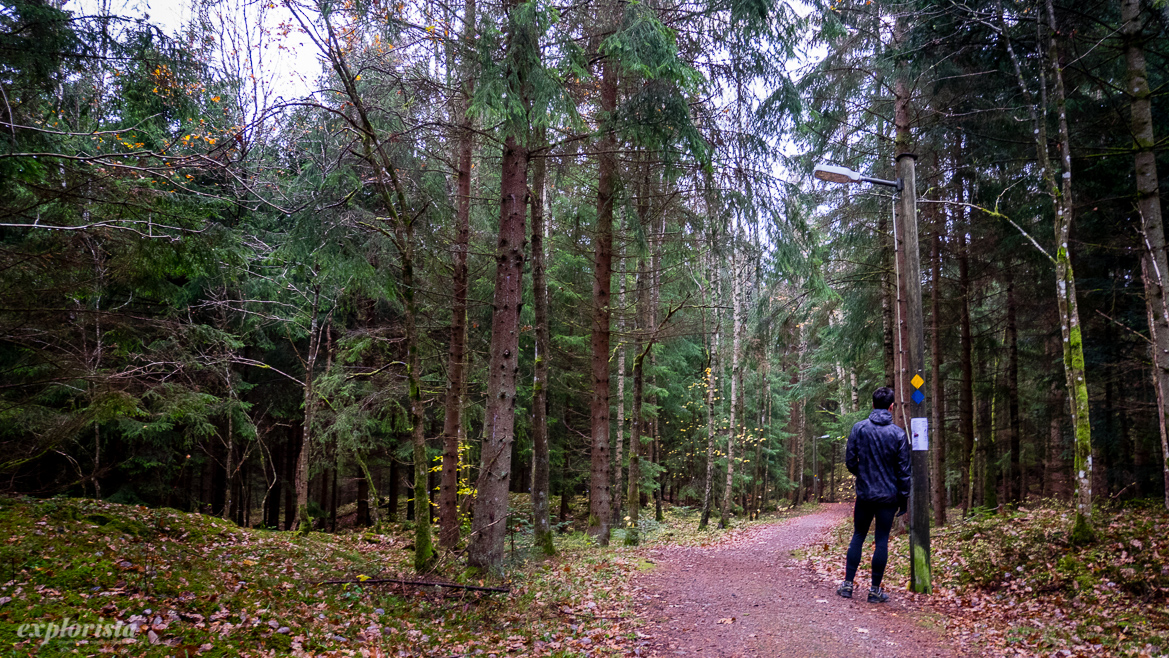promenadslinga i skog