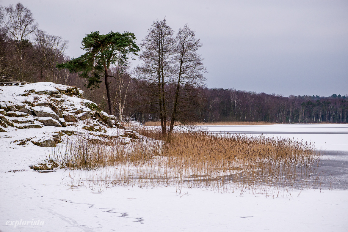 härlanda tjärn snö