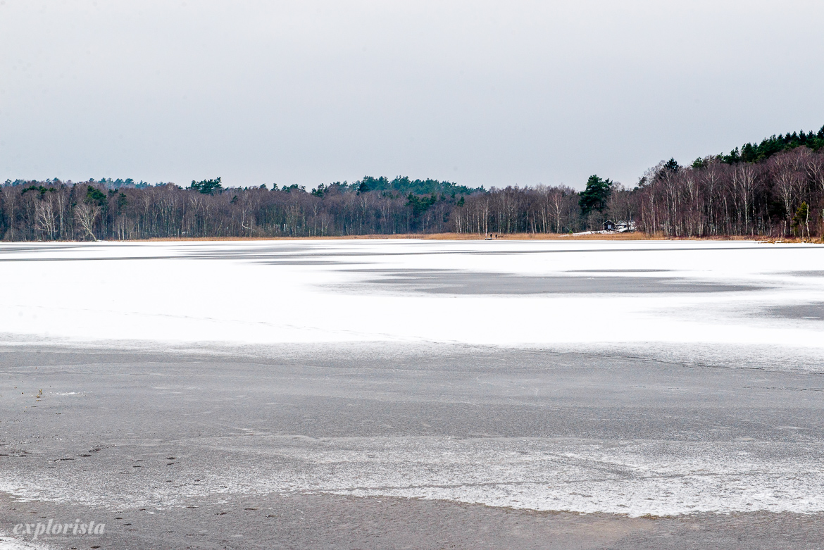 härlanda tjärn