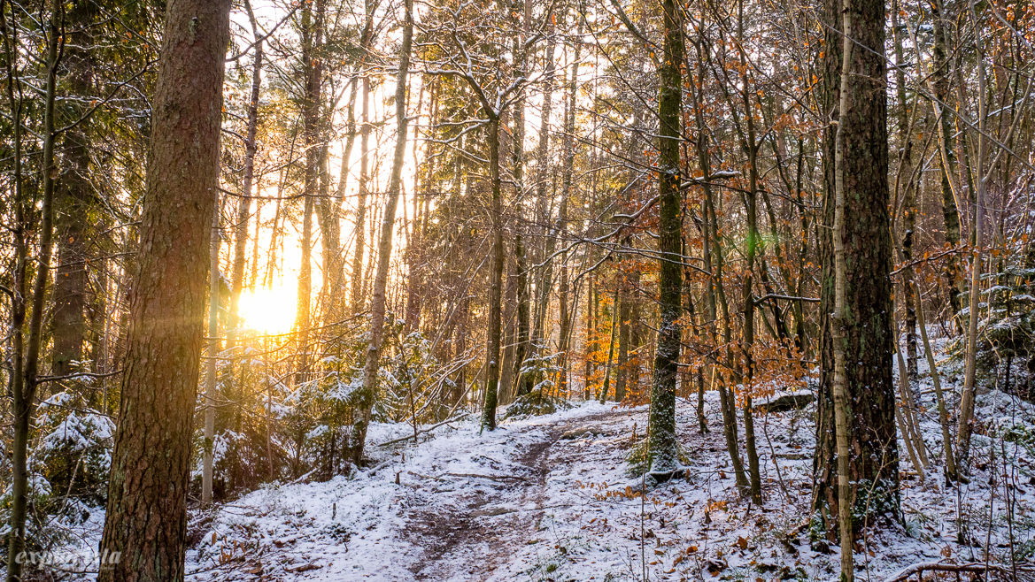 trailrunning vinter sol