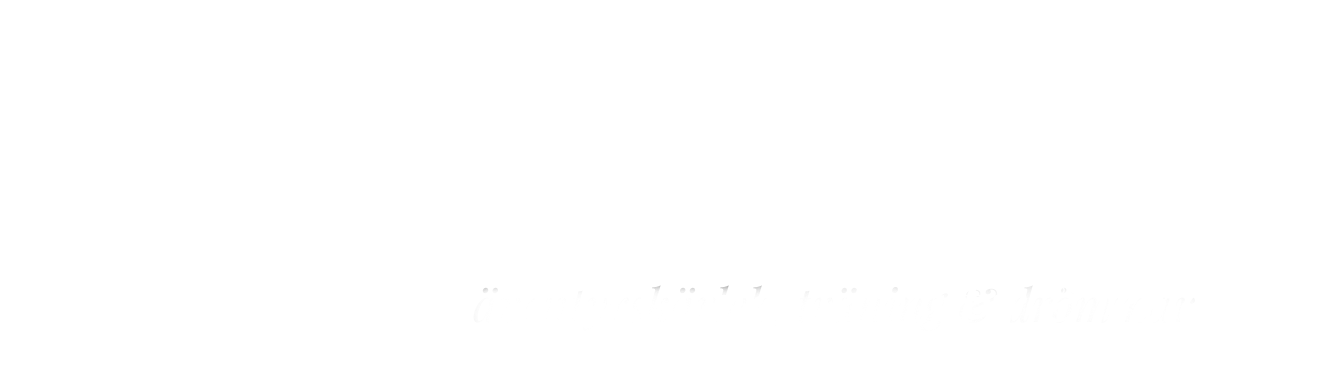 Explorista logotype 2020 - Vanlife, äventyr och frihet