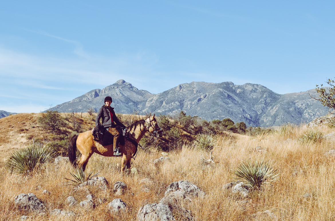 ridresa i arizona, explorista på häst