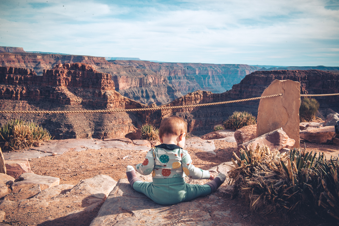 Bebis Grand Canyon