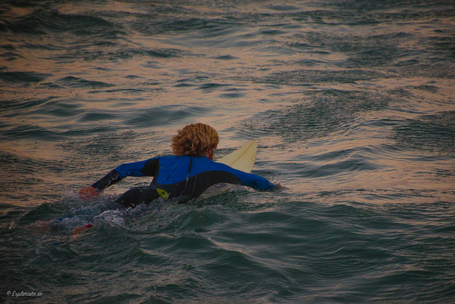 surfer paddling