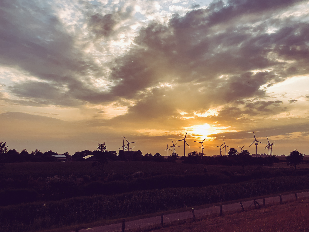Holland vindkraftverk solnedgång